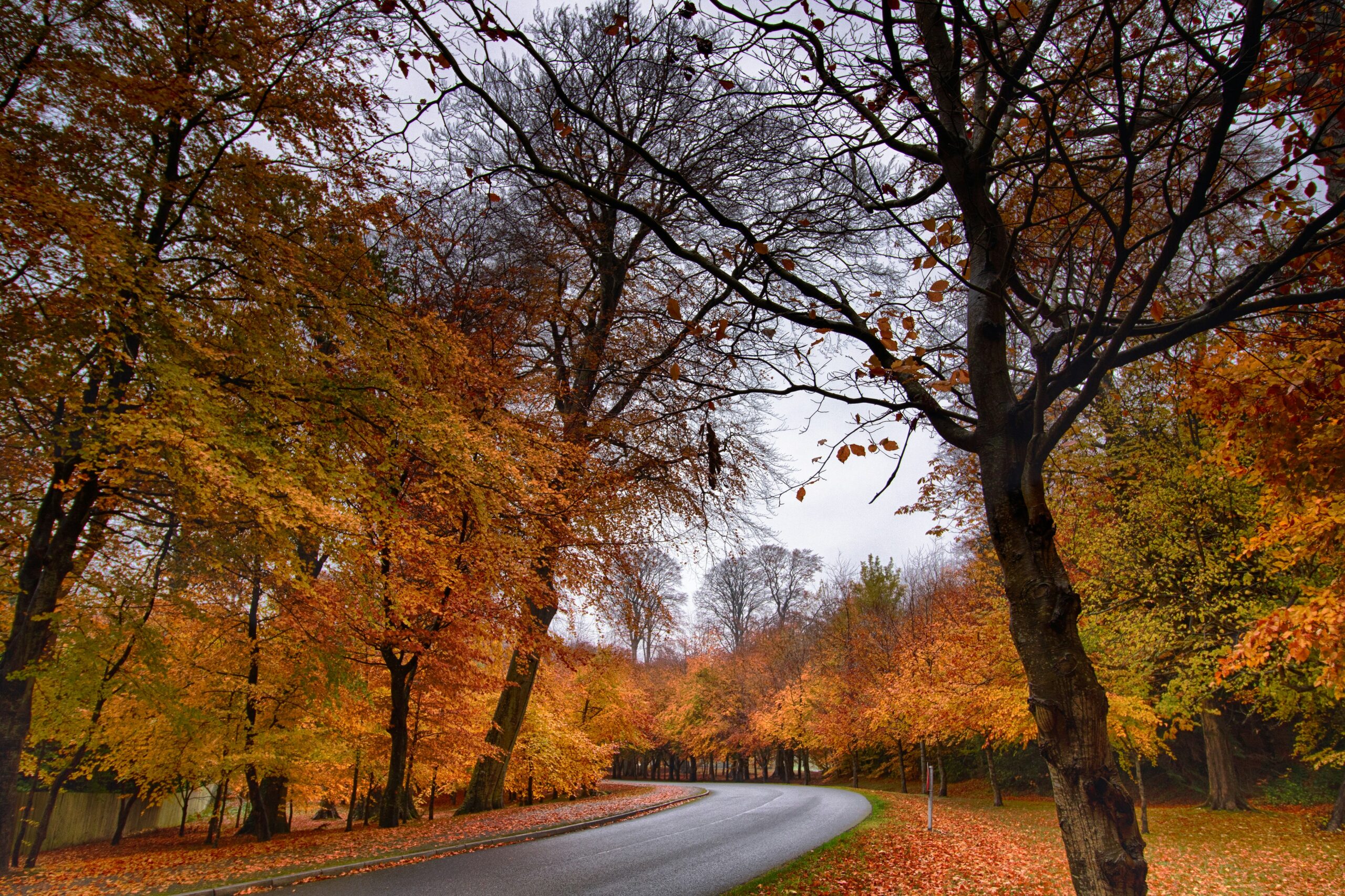 Ways to Make Your House Cozy for Fall Showings